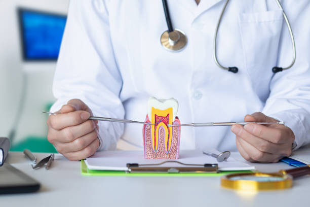 Best Emergency Root Canal Therapy in Saucier, MS